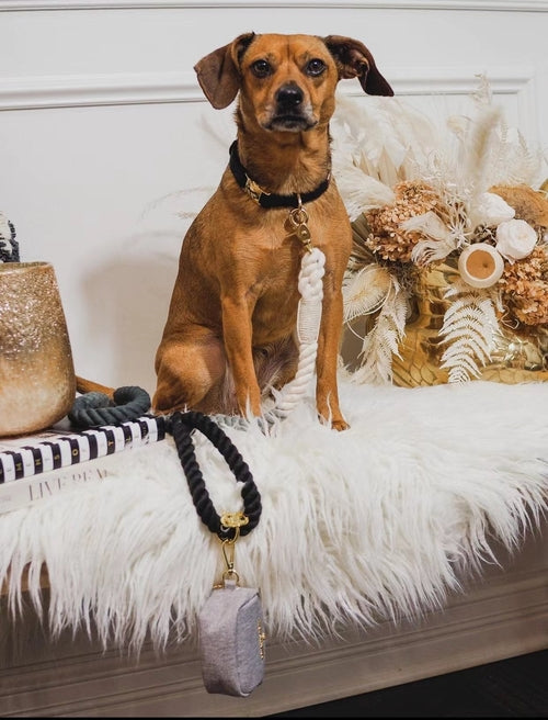 EverPaw™ Luxe Leash & Collar Set