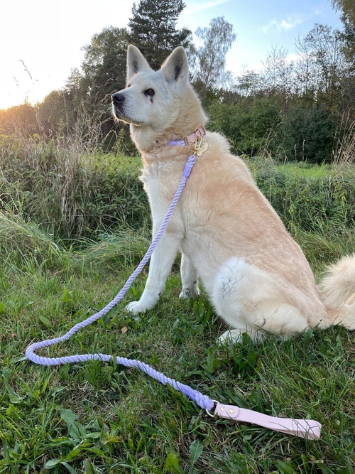 EverPaw™ Luxe Leash & Collar Set